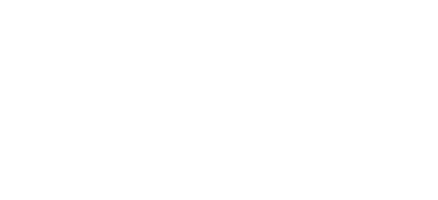 Everest group of company logo